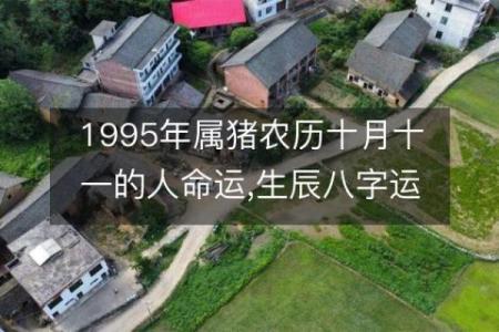 1996年2月11日出生属猪还是鼠生肖解析