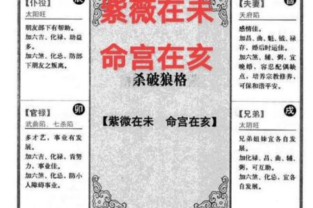 2025年4月8日亥时男命紫微斗数全解盘