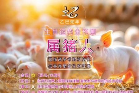 属猪今年几岁2025_2025年属猪人年龄详解今年几岁