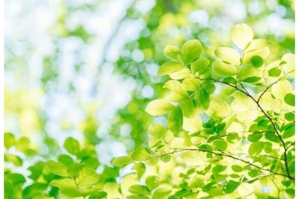 “不寒而栗”打一准确动物生肖,不寒而栗指什么生肖答案解释释义落实 “不寒而栗”打一准确动物生肖,不寒而栗指什么生肖答案解释释义落实