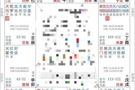 2025年4月2日午时男命紫微斗数全解盘