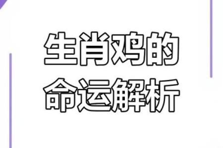 1993年属鸡女一生运势解析事业爱情财运全揭秘