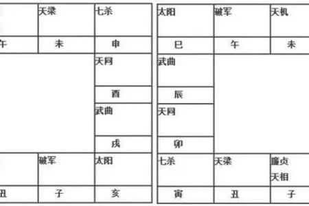 2025年4月3日卯时女命紫微斗数全解盘