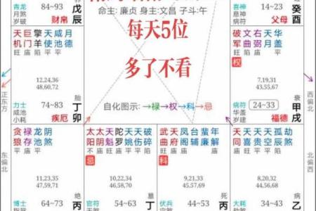 2025年4月7日巳时男命紫微斗数全解盘
