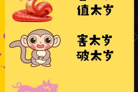 2025年属猪犯太岁解析运势影响与化解方法