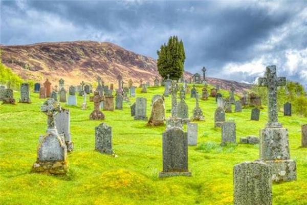 梦见喂猪是什么预兆 女性