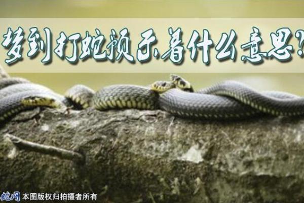 梦见打蛇是什么意思 周公解梦
