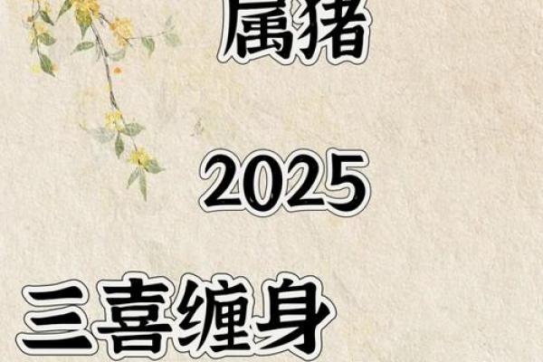 2025年属猪男运势_属猪运势2025年运势详解1983出生 2025年属猪男运势_属猪运势2025年运势详解1983出生