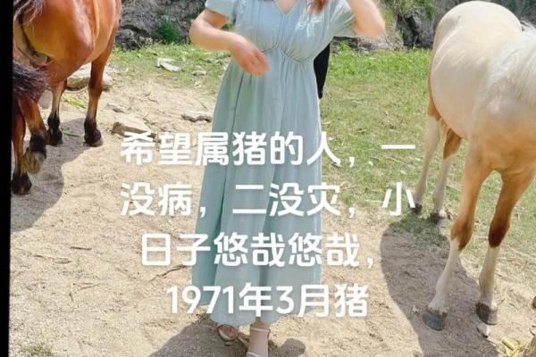 71年属猪人54岁最难熬 71年属猪人54岁最难熬是真的吗 71年属猪人54岁最难熬 71年属猪人54岁最难熬是真的吗