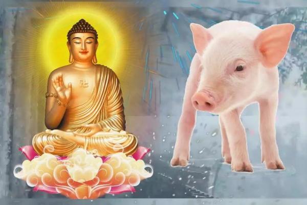 83年属猪人2026年全年运势及运程 83年猪最难熬的一年 83年属猪人2026年全年运势及运程 83年猪最难熬的一年