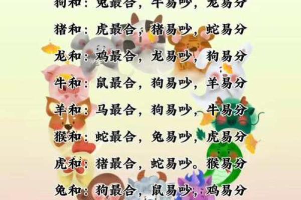 属马和属猪的适合做夫妻吗 两个人属兔可以做夫妻吗