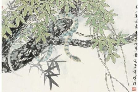 如影随形猜一生肖