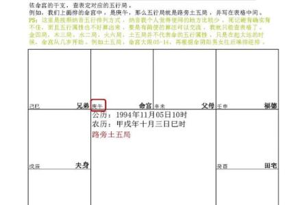 2025年4月1日巳时女命紫微斗数全解盘