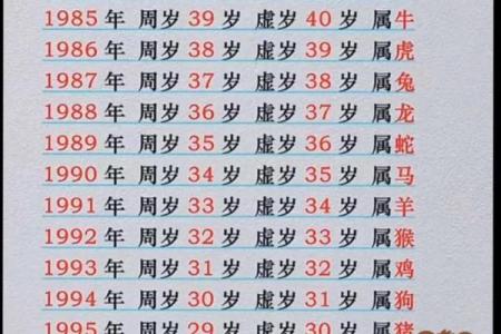 属马今年几岁了