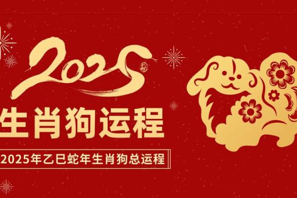 属狗在蛇年2025运势_82年属狗人42岁过七劫