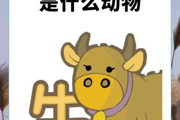 “各霸一方”是什么生肖，各霸一方打一动物答案解释释义落实