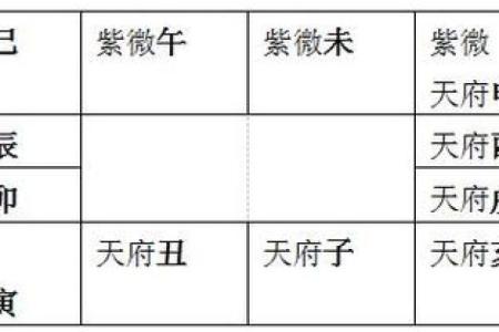 2025年4月9日午时女命紫微斗数全解盘