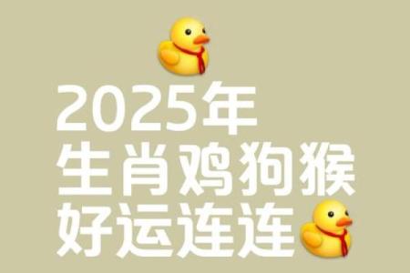 2025年属鸡的财运 2025年属鸡财运大揭秘财富运势全面解析
