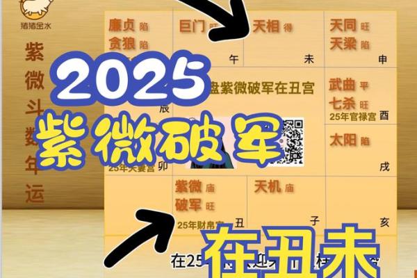 2025年4月2日戌时男命紫微斗数全解盘 2025年4月2日戌时男命紫微斗数全解盘
