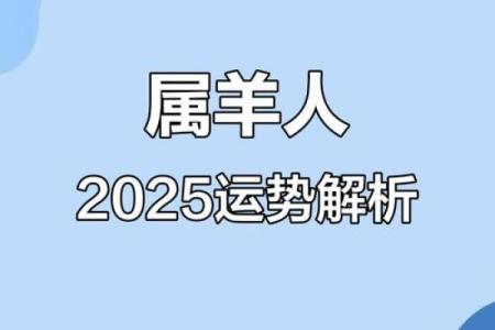 1991年属羊人2025年每月运势详解及运势预测