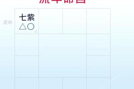 2025年4月9日丑时男命紫微斗数全解盘