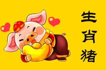 2025年属猪的命运_2025年属猪人命运解析运势财运与事业全揭秘