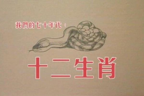 回光返照代表什么生肖