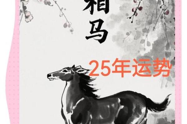 生肖马2025年 2025生肖马运势全解析事业财运爱情运程指南 生肖马2025年 2025生肖马运势全解析事业财运爱情运程指南