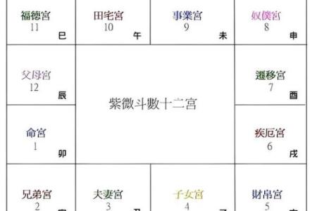 2025年4月6日丑时男命紫微斗数全解盘