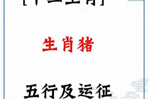 2025属猪运势及运程详解大全_83年属猪2025 年的运气 2025属猪运势及运程详解大全_83年属猪2025 年的运气