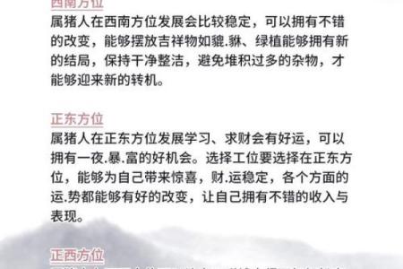 2025生肖猪运势详解财运事业爱情全解析