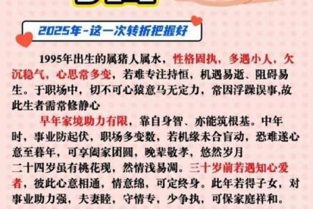 2025属猪人运程详解财运事业爱情全面解析