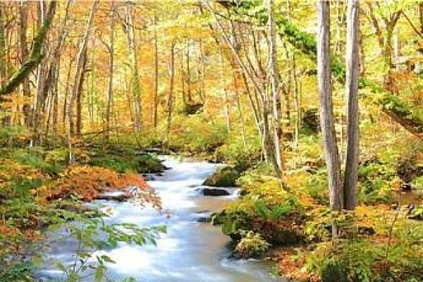 泥菩萨过河是什么生肖