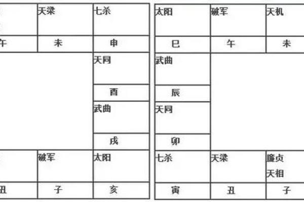 2025年4月20日巳时男命紫微斗数全解盘 2025年4月20日巳时男命紫微斗数全解盘