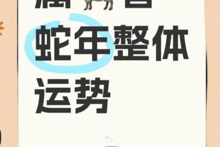 1979年属羊人2025年运势_1979年属羊人2025年运势如何