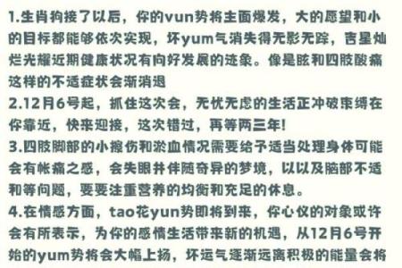 1982属狗是什么命_1982年属狗人的命运解析运势性格与未来展望