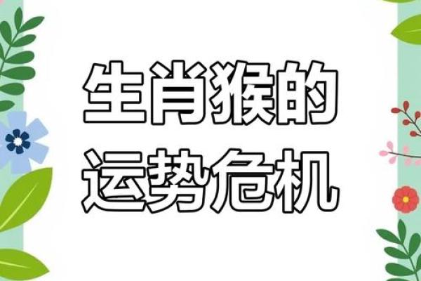 1956年属什么生肖 1956年属什么生肖
