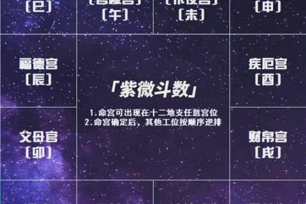 2025年4月17日丑时女命紫微斗数全解盘 2025年4月17日丑时女命紫微斗数全解盘