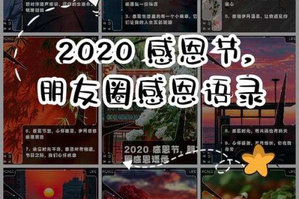 2020年感恩节是哪一天
