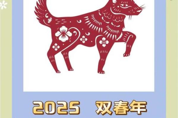 2025属狗带什么首饰最好呢_2025年属狗人最佳首饰推荐提升运势必备指南