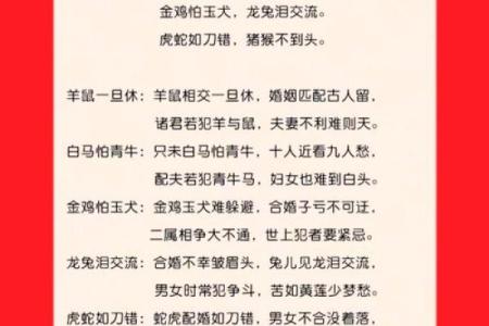 男属狗女属马婚配好吗生肖配对解析与婚姻建议