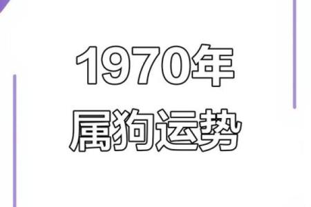 1970年属狗的今年运势_1970年属狗2025年运势