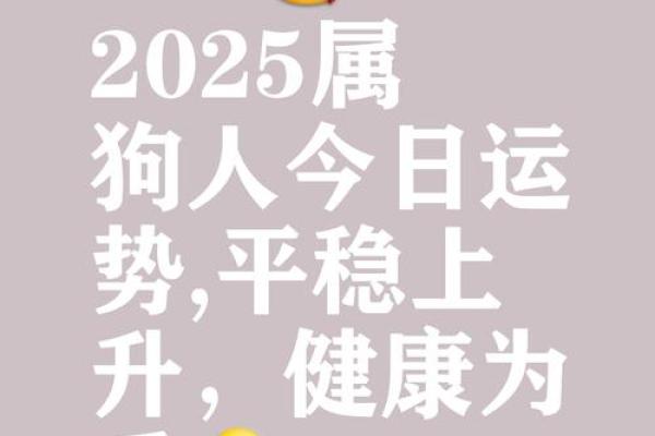 2025属狗人的运势_2025年属狗人运势详解财运事业感情全解析