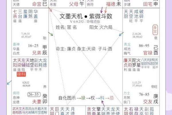 2025年4月26日辰时女命紫微斗数全解盘 2025年4月26日辰时女命紫微斗数全解盘