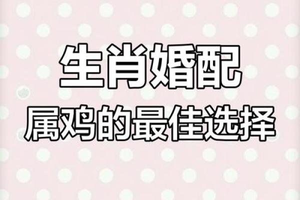 生肖属鸡2025年11月结婚最吉利的日子有哪些 2025年11月属鸡订婚吉日 生肖属鸡2025年11月结婚最吉利的日子有哪些 2025年11月属鸡订婚吉日