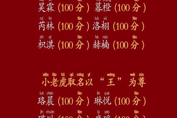 中午出生的属虎男孩如何起名,适合什么字姓名 中午出生的属虎男孩如何起名,适合什么字姓名