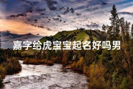 中午出生的属虎男孩如何起名，适合什么字姓名