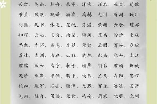 沈姓男孩名字大全-沈姓男孩起名字大全-沈姓名字大全姓名