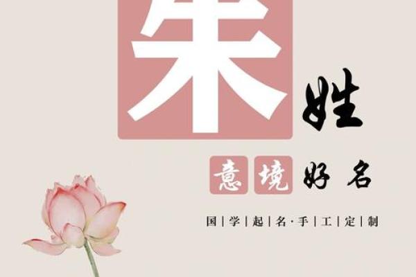 朱姓女孩名字大全-朱姓女孩起名字大全-朱姓名字大全姓名