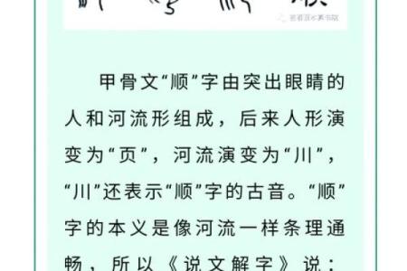 属猪寅时出生的男孩怎么取名字，宜用什么字姓名